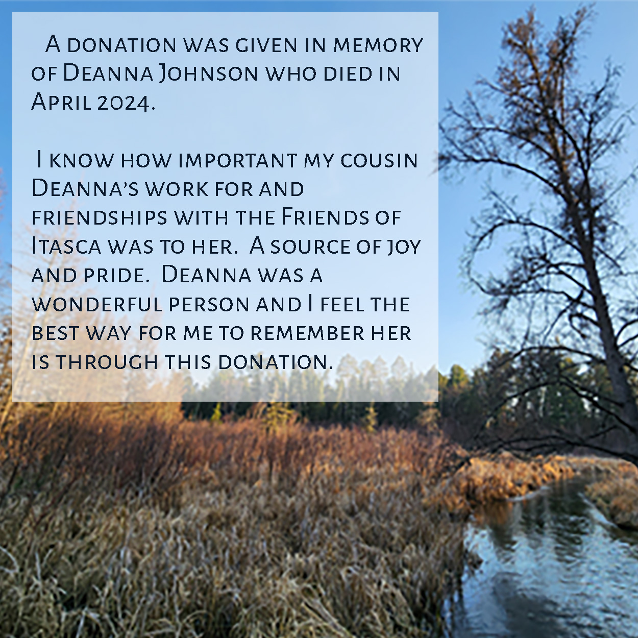 Memorial Item - Deanna Johnson